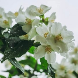 dagmara dombrovska eOAxESfq9t0 unsplash 1