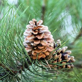 dusan veverkolog Nd90 wSTazo unsplash 1