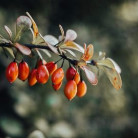 lubos felcik KIJZZsTk1SI unsplash 1