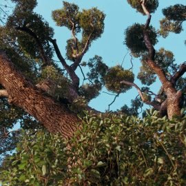 t penguin 6A1QIF F32o unsplash 1