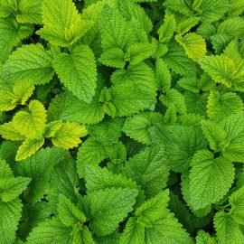 tim krisztian VP2lo1s02Bc unsplash 1